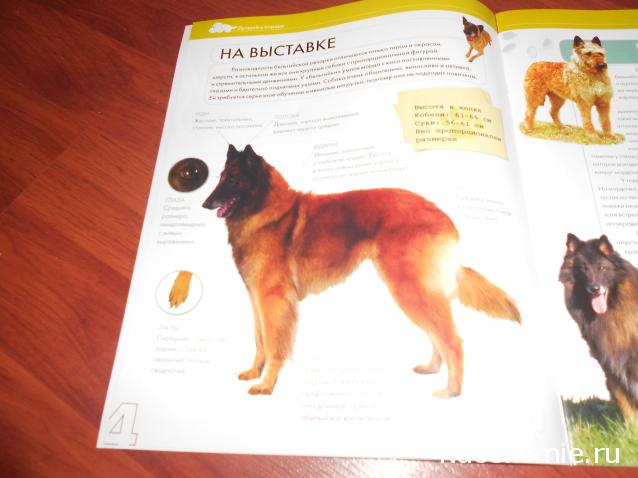 The Dog Collection №70 Бельгийская овчарка Малинуа