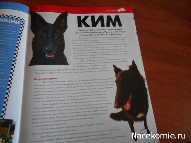 The Dog Collection №70 Бельгийская овчарка Малинуа