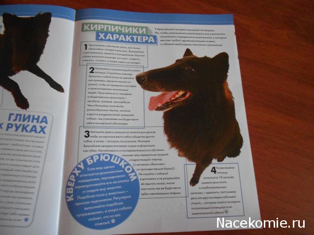 The Dog Collection №70 Бельгийская овчарка Малинуа