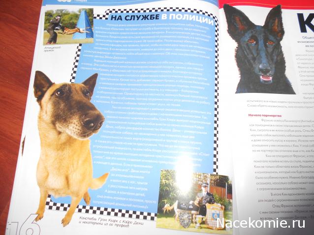 The Dog Collection №70 Бельгийская овчарка Малинуа