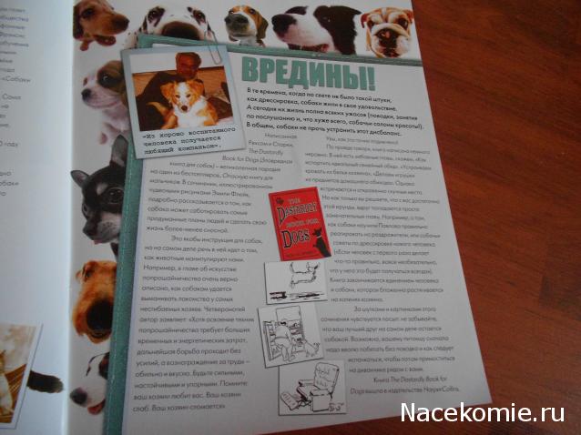 The Dog Collection №70 Бельгийская овчарка Малинуа