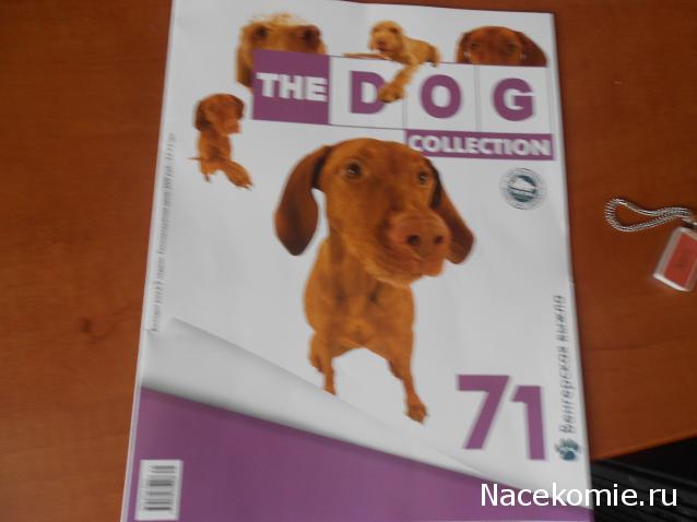 The Dog Collection №71 Венгерская выжла