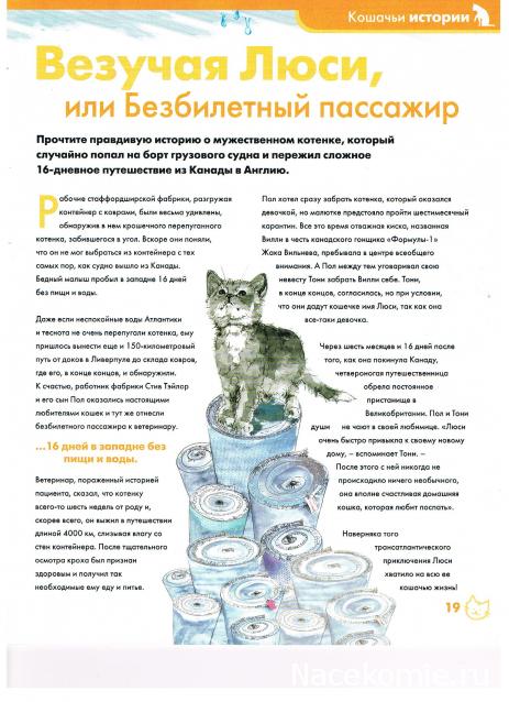 The Cat Collection № 3 Русская голубая Фото