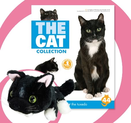 Кошкин дом. Болталка The Cat Collection