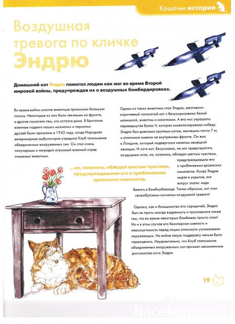 The Cat Collection № 10 Турецкий ван Фото