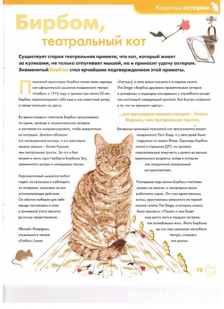 The Cat Collection № 2 Полосатая кошка Фото