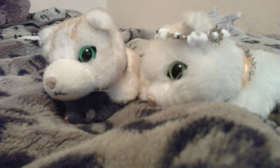 Кошкин дом. Болталка The Cat Collection