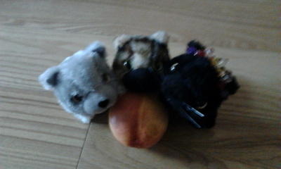 Кошкин дом. Болталка The Cat Collection