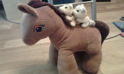 Кошкин дом. Болталка The Cat Collection