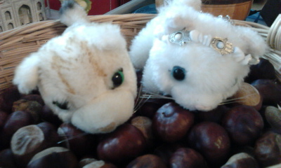 Кошкин дом. Болталка The Cat Collection