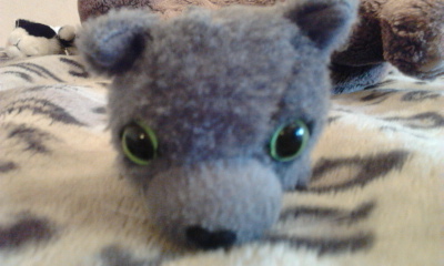 The Cat Collection № 3 Русская голубая Фото