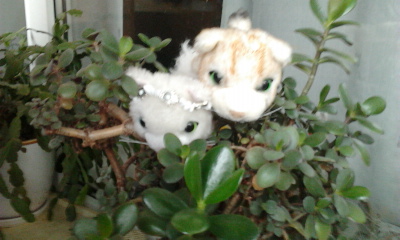 Кошкин дом. Болталка The Cat Collection