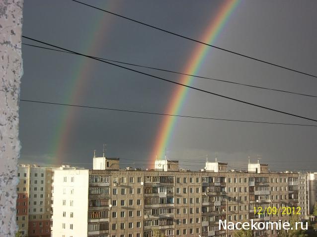 Дом Мечты. Болталка или... погрызем семечки