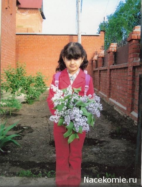 Дом Мечты. Болталка 2 или... будем знакомы