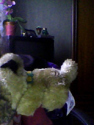 The Dog Collection №70 Бельгийская овчарка Малинуа