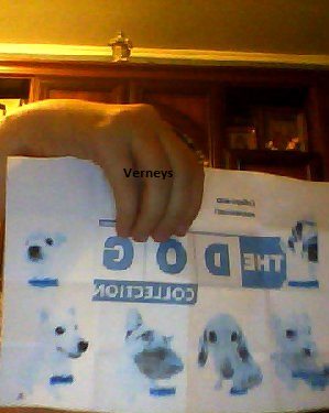 The Dog Collection Болталка