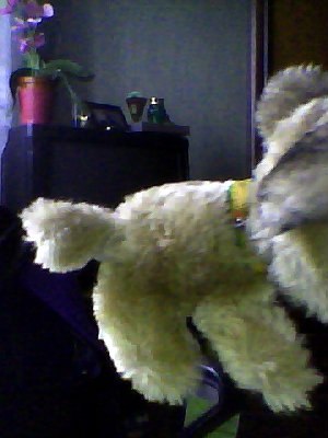 The Dog Collection №70 Бельгийская овчарка Малинуа