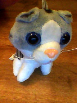 Кошкин дом. Болталка The Cat Collection