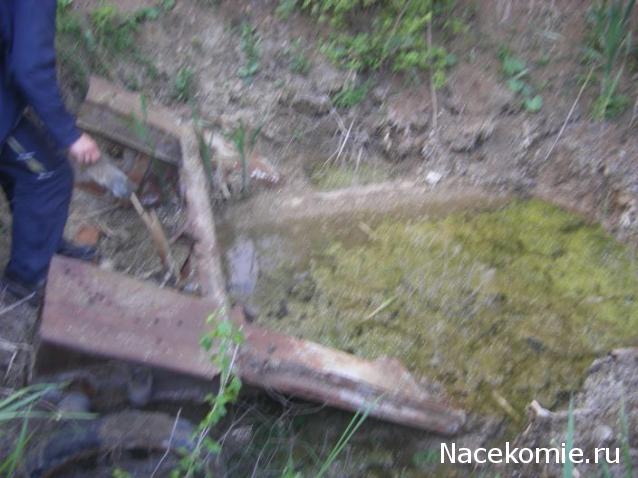 Танкодром (Общая Болталка танковых разделов)