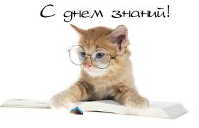Дом Мечты. Болталка или... погрызем семечки