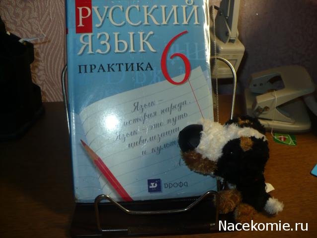 The Dog Collection Болталка