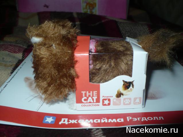 The Cat Collection №28 Рэгдолл Фото