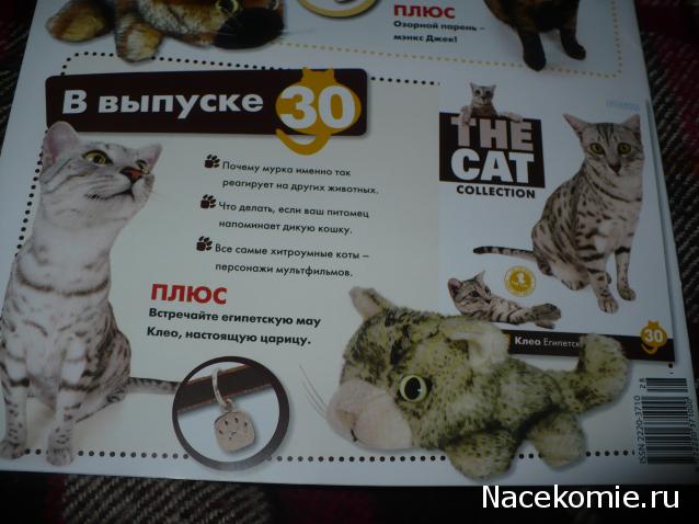 The Cat Collection №28 Рэгдолл Фото