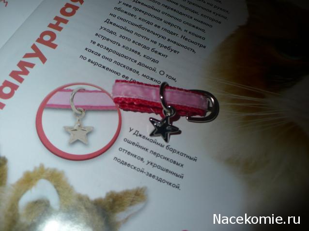 The Cat Collection №28 Рэгдолл Фото