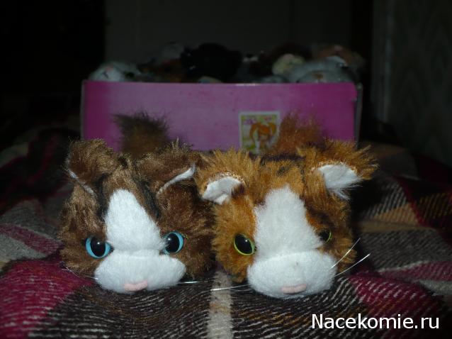 The Cat Collection №28 Рэгдолл Фото