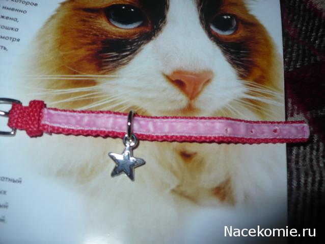 The Cat Collection №28 Рэгдолл Фото