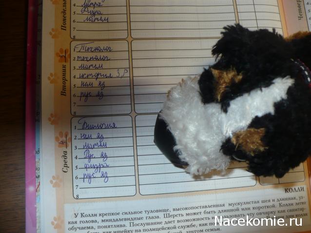 The Dog Collection Болталка