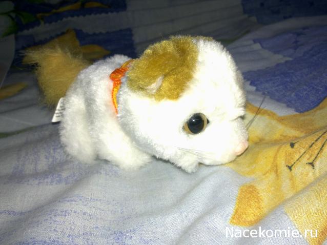 The Cat Collection № 10 Турецкий ван Фото