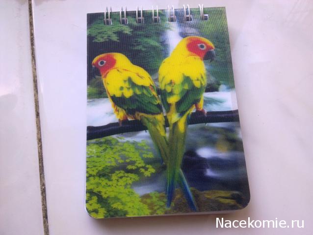 The Cat Collection № 10 Турецкий ван Фото