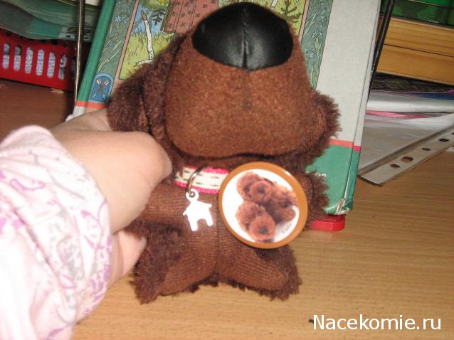 The Dog Collection №68 Ньюфаундленд