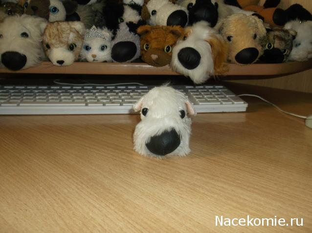 The Dog Collection Болталка