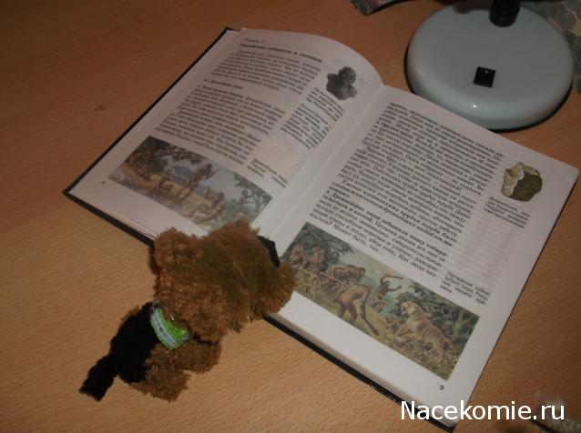 The Dog Collection Болталка