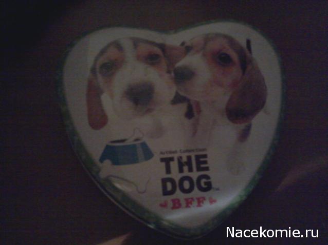 The Dog Collection Болталка