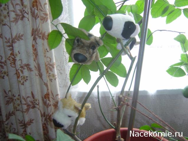 The Dog Collection Болталка