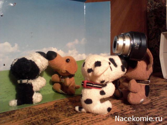 The Dog Collection Болталка