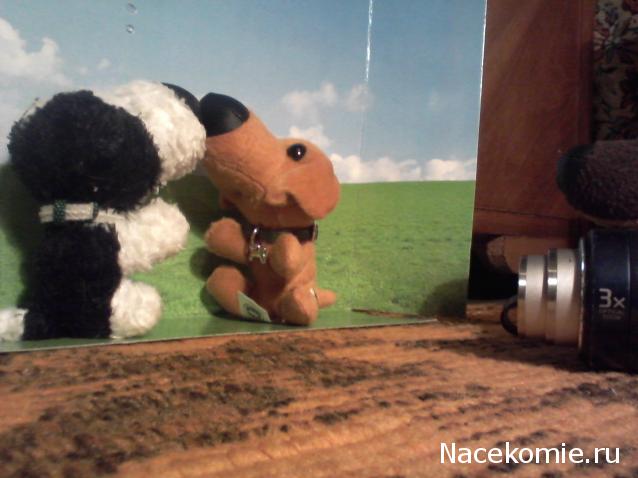 The Dog Collection Болталка