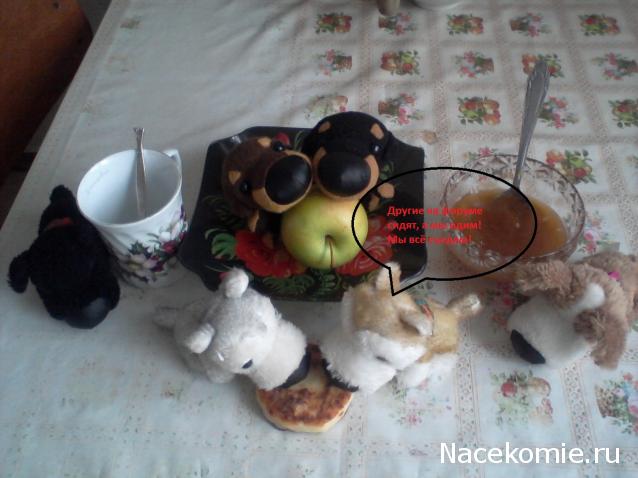 The Dog Collection Болталка