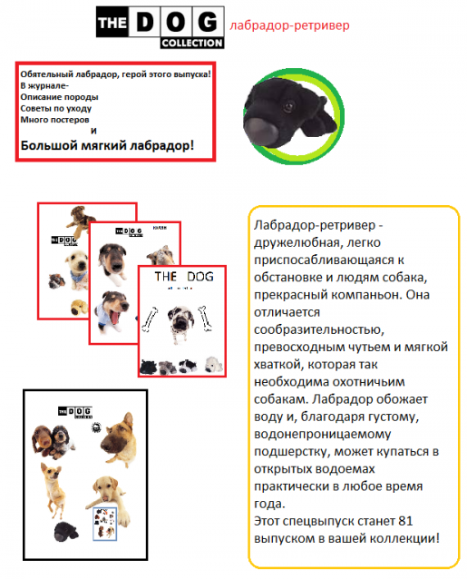 The Dog Collection Болталка