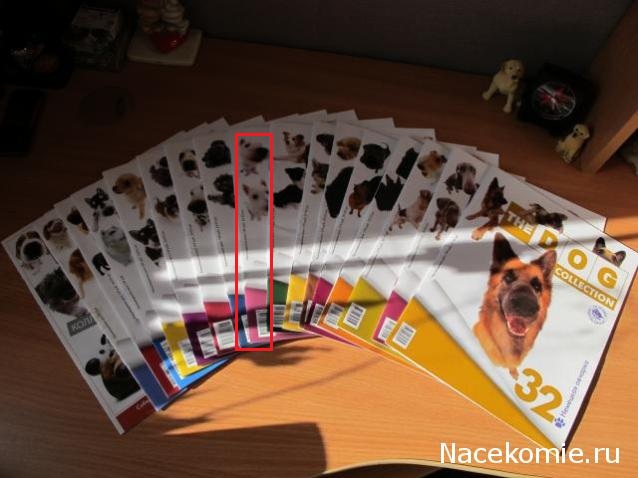 The Dog Collection Болталка