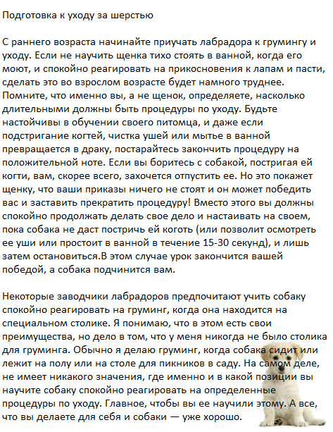 The Dog Collection Болталка