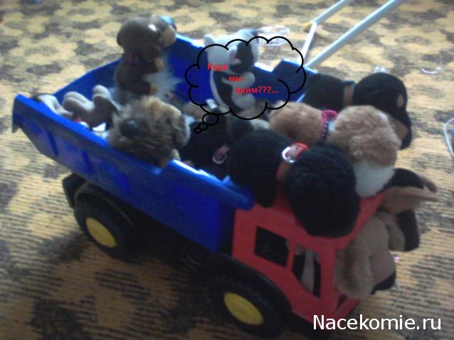 The Dog Collection Болталка
