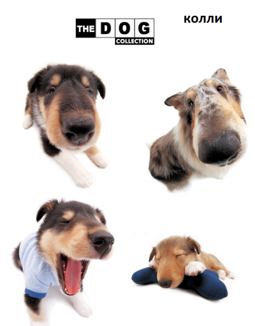 The Dog Collection Болталка