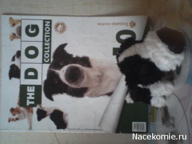 The Dog Collection Болталка