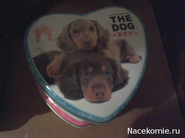 The Dog Collection Болталка