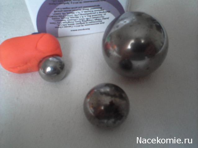 The Dog Collection Болталка