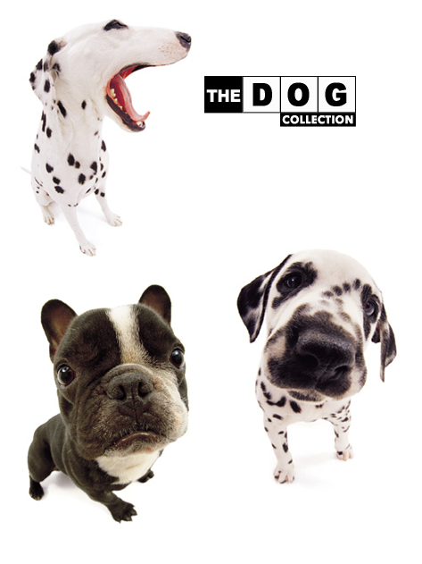 The Dog Collection Болталка